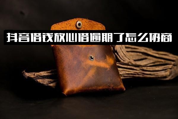 抖音放心借借款申请中及逾期问题全解析：逾期了怎么协商？逾期几天上征信？逾期10天怎么办？