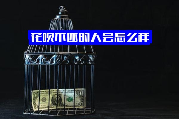 ="花呗不还的人会面临严重后果？全面解析花呗<a