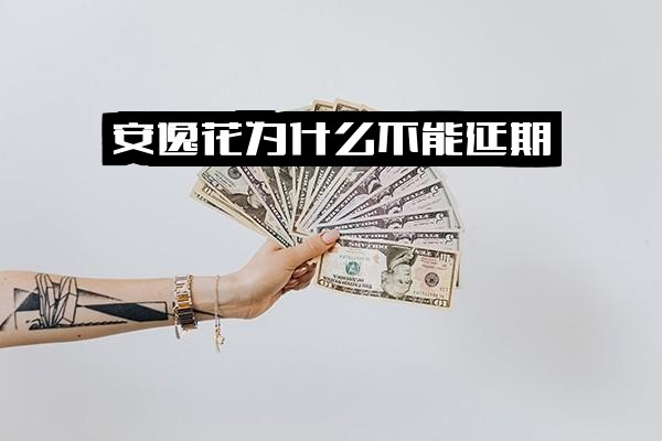 ="安逸花近期为何无法借款、不能延期且无法提钱结清？"