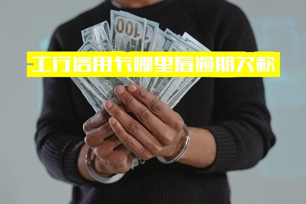 工行信用卡如何快速查询逾期欠款记录及当前欠款金额？工商银行信用卡APP便捷查看指南