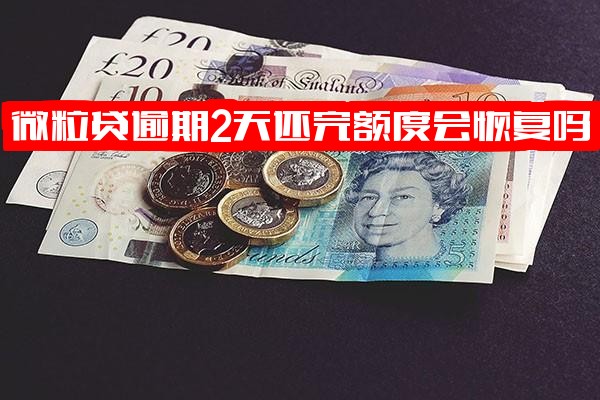 微粒贷逾期2天还清后额度能否恢复及后续借款影响分析