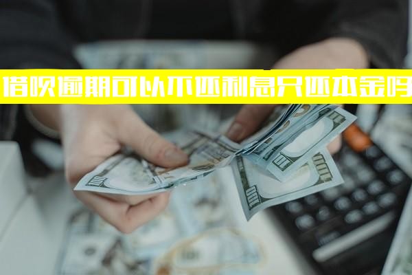 借呗逾期后是否可以不还利息只还本金？能否一点一点还而非必须一次性还清？没能力还完时的可行方法解析