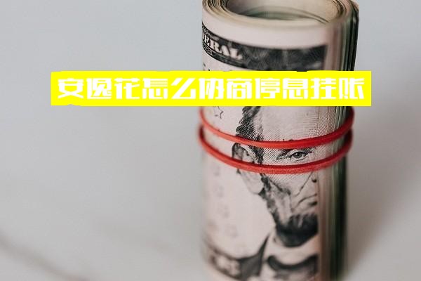 安逸花怎么协商：停息挂账与还本金技巧