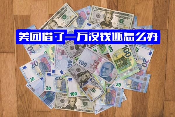 ="美团借款一万多无力偿还怎么办？逾期20天被警告立案，欠款不还会面临什么后果"