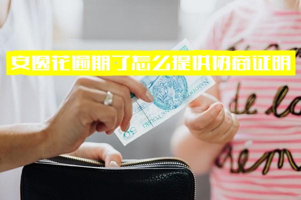 安逸花逾期后如何有效提供协商证明？能否协商还本金及真实性如何？和客服协商延期有办法吗？