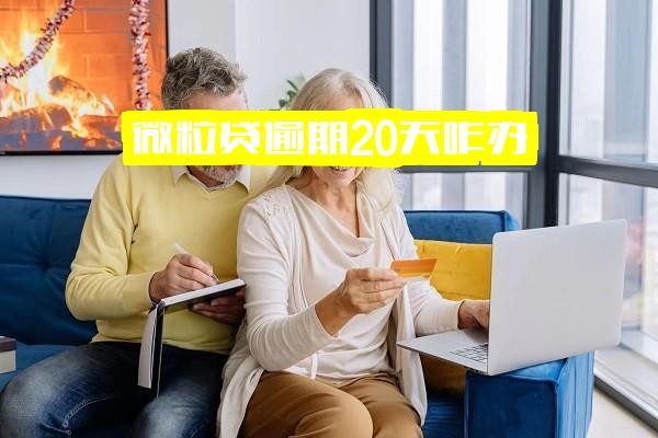 微粒贷逾期20天紧急应对、304天严重逾期怎么办及逾期几天影响分析