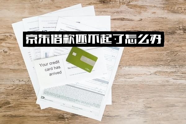 京东借款无力偿还怎么办？应对指南与后果详解