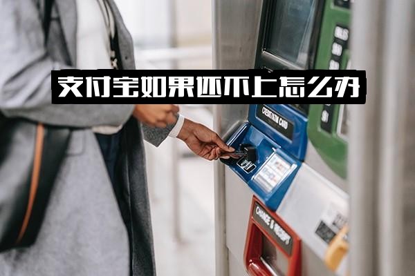 ="支付宝还不上怎么办？会怎么样？后果解析与最佳解决办法全指南"