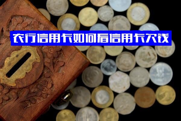 农行信用卡快速查询指南：如何查看欠款、欠款记录、账单明细与消费记录