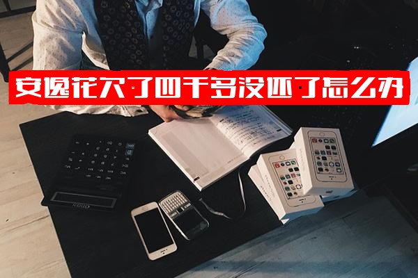 ="安逸花欠款几千至八千逾期数月怎么办？利息高达三千多会找上门吗？"