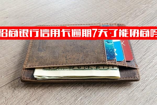 招商银行信用卡逾期7天怎么办？能否协商？会上征信吗？会有什么影响？