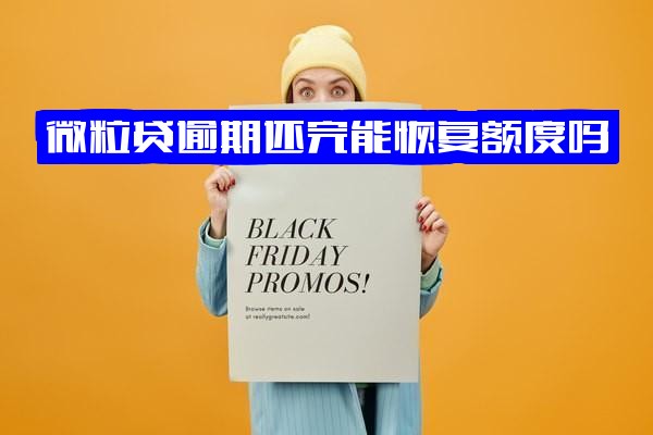 微粒贷逾期还清后，额度及可用额度能否恢复？恢复需要多久？还能否再次借款？