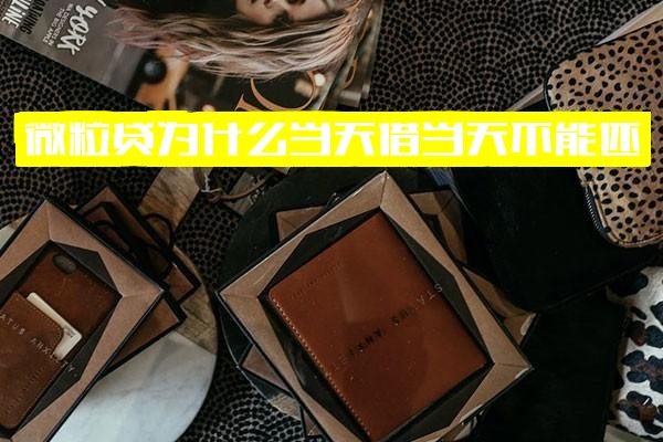 微粒贷为何当天借款当天不能还款？当天到期为何无法手动还？