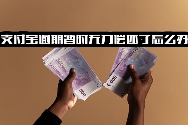 ="支付宝逾期暂时无力偿还/实在还不上怎么办？无力偿还但并非不想还，无法使用后还款多久能恢复？"