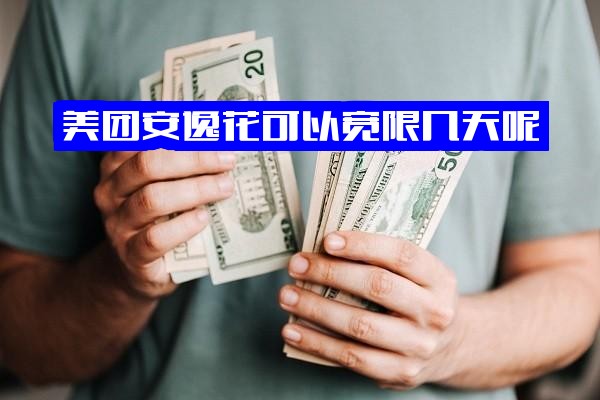 美团安逸花还款全解析：宽限几天、能否提前还款、当月无法还怎么办及延期还款指南