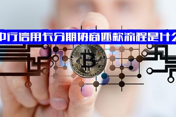 中行信用卡分期协商还款流程是什么及含义解析，中国银行协商个性化分期所需手续与中行分期手续费怎么收