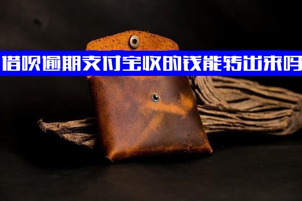 借呗逾期后支付宝资金处置全解：能否转出？会否代扣？支付功能受限吗？