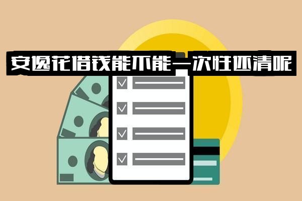 安逸花贷款能否一次性还清分期？操作方法详解
