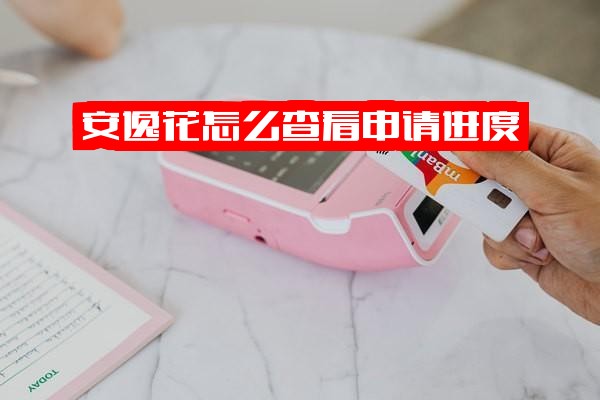安逸花如何查看申请进度、放款状态、借款进度及个人额度