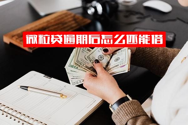 ="微粒贷逾期后怎么还能借？逾期还清后还能借么？逾期后无法借款原因解析"