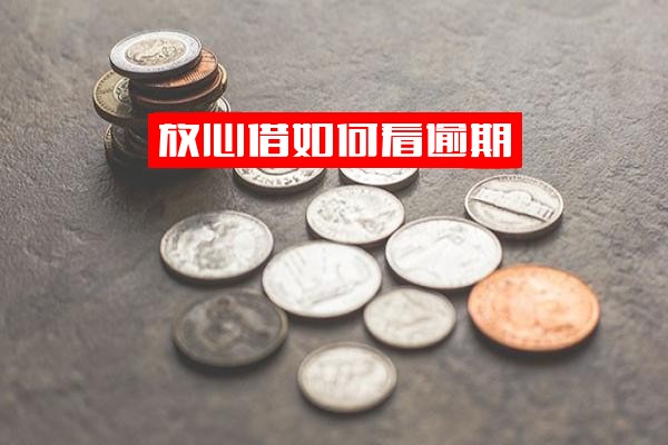 放心借逾期、还款记录、交易记录查询全攻略