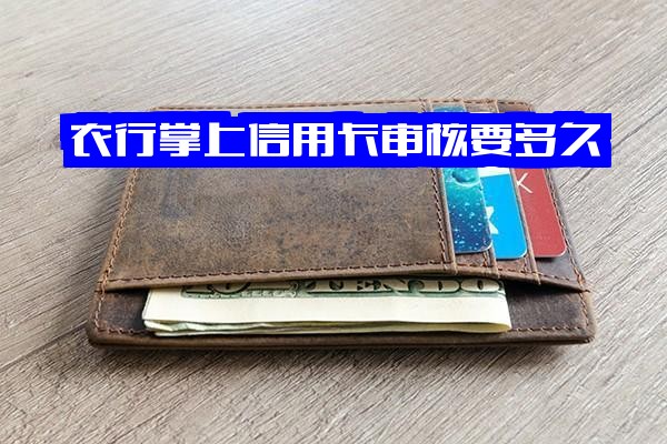 农行掌上银行APP申请信用卡审核时间详解：网上申请多久出结果？