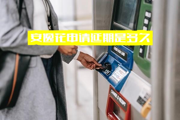 安逸花申请延期期限全解析：延期服务需一个月？多久不还将上征信及成功要点
