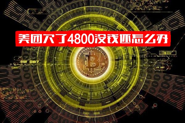 欠美团4800没钱还怎么办？欠款还不上的应对方法与办理指南
