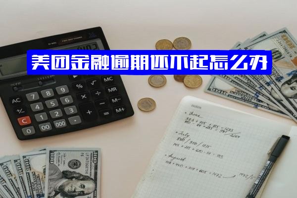 美团金融逾期8千余元半年未还：应对指南与征信影响解析