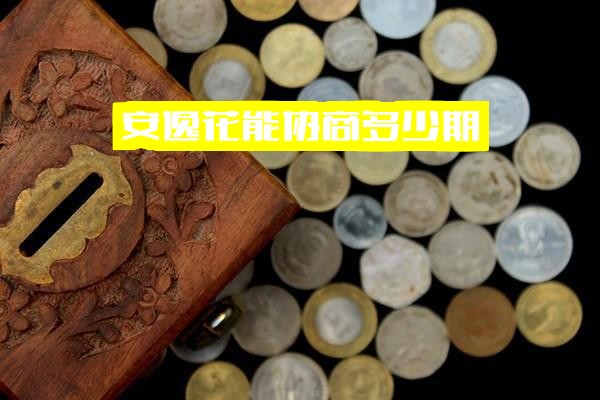 安逸花协商还款指南：可分多少期？还本金后APP记录何时清除？能否延迟几天还款？