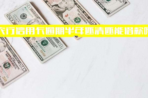 农行信用卡20000逾期4个多5个月，逾期半年还清后还能借款吗？逾期还款之后额度还能正常使用吗？