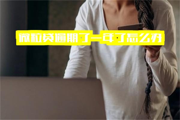 ="微粒贷逾期一年了怎么办？会起诉吗？逾期一年半及一年后是不是不需要还了？"