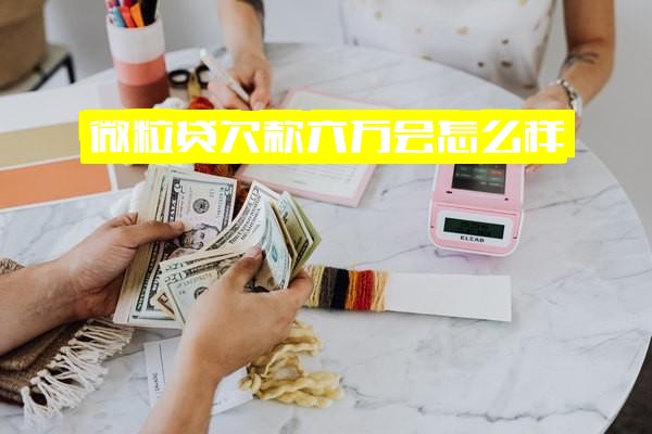 微粒贷欠款六万：后果详解、水平评估与逾期刑事责任分析