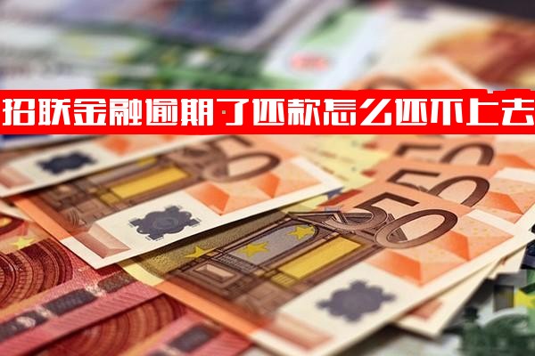 招联金融逾期还款失败怎么办？逾期不还后果及征信影响解析，逾期半年无力还款应对策略