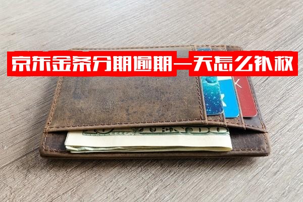 京东金条逾期不同时长处理方案：1分钟、1天紧急补救与半个月分期还款指南，长期逾期如何协商分期