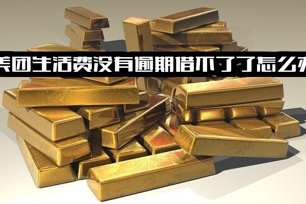 美团生活费从未逾期却无法借款不能使用怎么办？还了不能再借的原因及不借款是否有影响