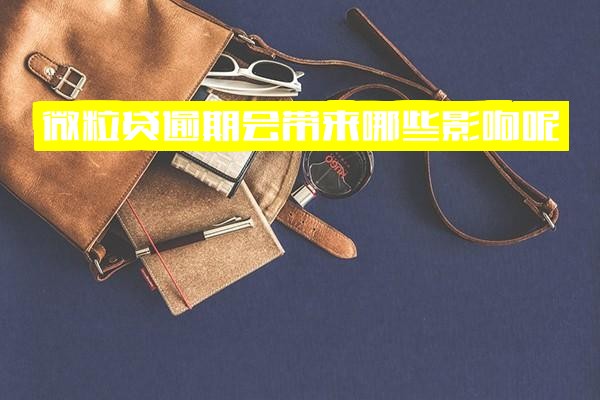 微粒贷逾期影响与后果全面解析：坐牢和立案风险详解