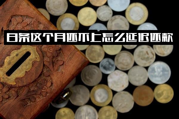 优化后的标题：  **白条本月还不上如何申请延迟还款？**  修改说明：  1. **整合关键词**：包含所有核心词「白条」「本月还不上」「延迟还款」（"延后还