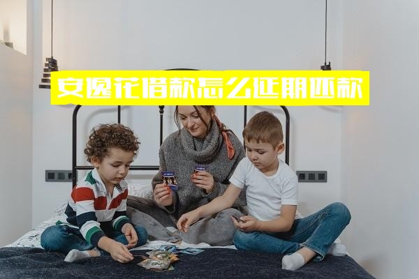 安逸花借款延期还款指南：如何申请及是否影响征信详解