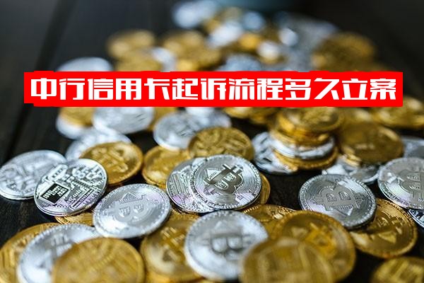 中国银行信用卡起诉流程详解：立案时间与办理方法，2020年中信银行信用卡起诉案例参考，公民起诉中国银行法院受理实务指南