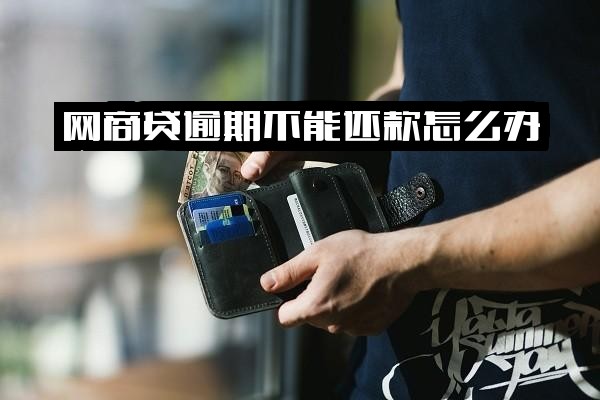 网商贷逾期无法还款怎么办？全面解析后果、应对策略及是否会被起诉指南