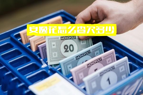 安逸花如何快速查询欠款金额及借款记录