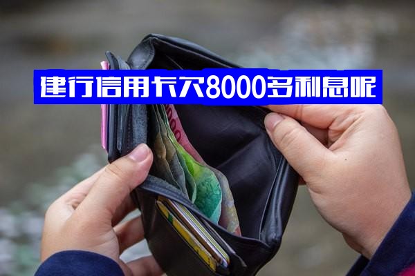 建行信用卡欠8000高额利息怎么办？最低还款额多少？欠款8000五个月未还严重后果及9000逾期利息计算解析