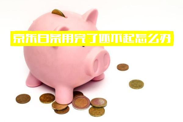 京东白条用完了还不起怎么办？用了之后还要还吗？钱不用是否不用还？用了之后怎么还款？