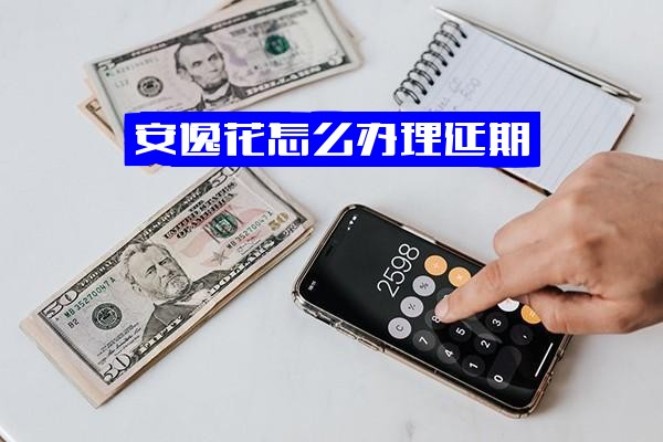 安逸花如何办理延期还款？操作流程、联系电话及一年期影响详解