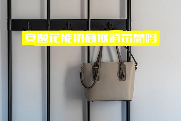 安逸花协商还款指南：能否取消罚息？还本金后app记录多久清除？能否申请延期？