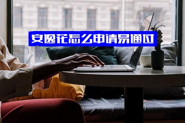 ="安逸花贷款申请全攻略：高效易通过技巧、秒过秘籍与全流程图解指南"