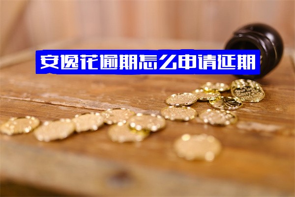 安逸花逾期后能否申请延期还款及具体操作方法？