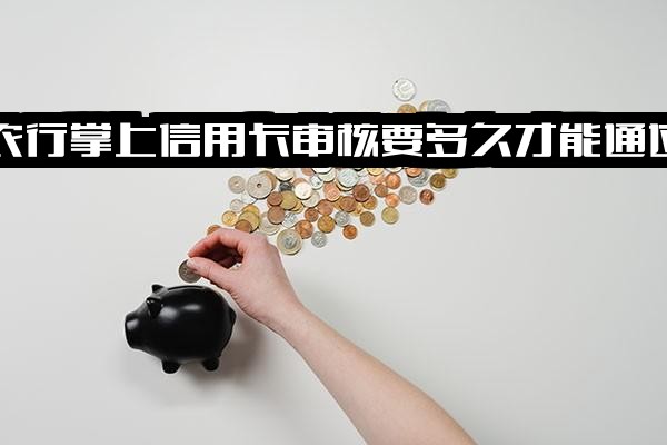 ="农行掌上信用卡及网上申请完整审核要多久？农业<a