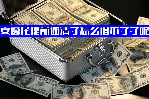 安逸花提前还清后为何无法再借？提前结清为何仍有账单？无法提前还清又该如何解决？
